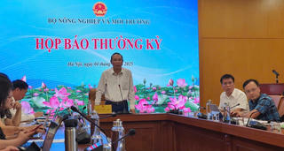 Xuất khẩu cà phê bứt phá