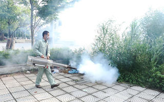 Số ca sốt xuất huyết giảm mạnh