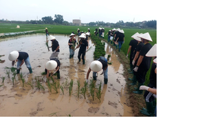 Du lịch xanh ngày càng trở thành xu hướng
