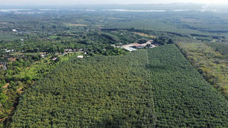 Đồng Nai: Hơn 32ha đất rừng được đề xuất chuyển mục đích phục vụ tái định cư