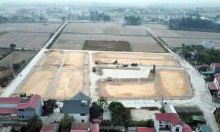 Rối ren đấu giá đất