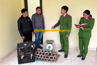 ‘Cõng’ 2 tiền án, 1 tiền sự vẫn đi trộm 55 con gà của người dân