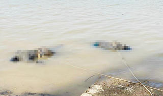 Tìm thân nhân cho 2 thi thể nam giới trôi dạt trên sông ở Hà Tĩnh