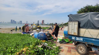 Đà Nẵng: Giải tỏa khu vực bãi biển nhếch nhác do buôn bán, sơ chế hải sản