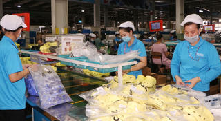 Nhiều vướng mắc trong xử lý vi phạm quyền lợi người lao động