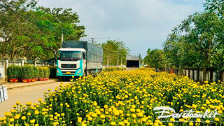 Rộn ràng những chuyến xe chở 'sắc xuân'