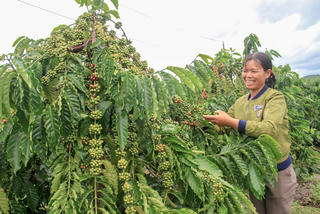 Rà soát tình trạng thiếu đất ở, đất sản xuất cho đồng bào dân tộc