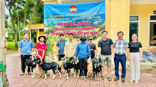 Những dấu ấn đặc biệt của MTTQ Hà Tĩnh nhiệm kỳ 2019-2024