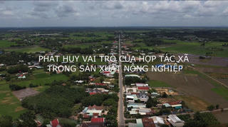 Phát huy vai trò của Hợp tác xã trong sản xuất nông nghiệp