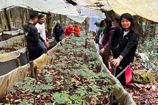 Khám phá miền đất của sâm