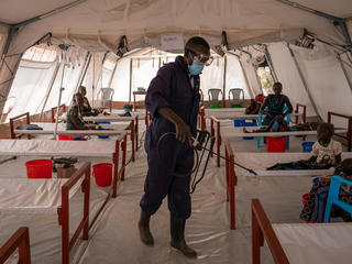 Dịch tả bùng phát trở lại: Đâu là nguyên nhân?