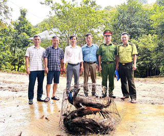 Người dân Hà Tĩnh tự nguyện giao nộp hàng trăm cá thể động vật hoang dã quý hiếm