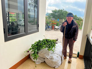 Lào Cai: Bắt cụ ông trồng cây thuốc phiện trong vườn cải