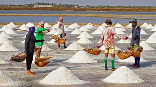 Gừng cay muối mặn...