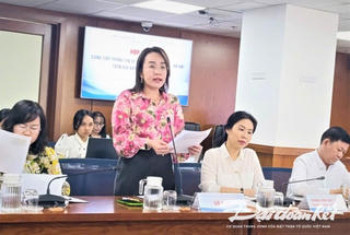 TPHCM hợp tác liên vùng xây dựng mạng lưới 'khám, chữa bệnh từ xa'