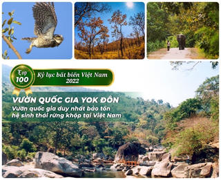 Vườn quốc gia Yok Đôn và Hang Sơng lọt vào danh sách 20 Kỷ lục Bất biến tiếp theo của Việt Nam