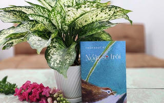 Trần Ngọc Mỹ: Thong thả, an nhiên tìm mình trong đời sống