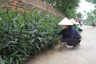 Người dân vào cuộc bảo vệ môi trường