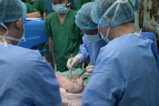 Cô gái trẻ tái sinh nhờ phép màu ghép phổi