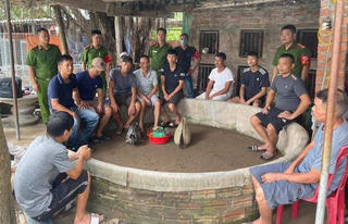 Hải Phòng: Bắt giữ 13 đối tượng 'đá gà' ăn tiền