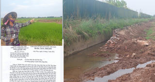 Phú Thọ:  Hơn 60 ha lúa có nguy cơ gặp hạn vì mương thủy lợi bị phá 