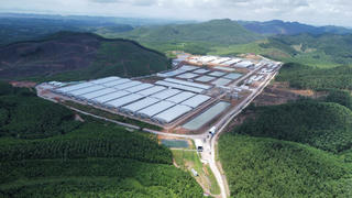 Quảng Ninh: Cần xử lý dứt điểm tình trạng ô nhiễm từ trang trại lợn