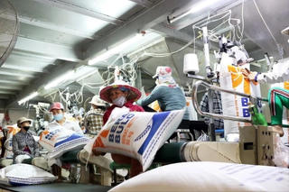 Thị trường nông sản: Giá gạo xuất khẩu tiếp tục tăng nhẹ