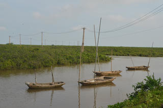 Nam Định: Phạt người chặt cây, hút cát trong Vườn quốc gia 325 triệu đồng