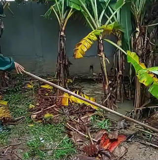 Quảng Trị: Xuất hiện hố sụt lún sát nhà dân, nghi mạch nước ngầm phía dưới