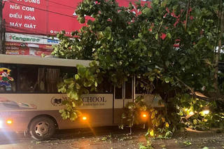 Thanh Hóa: Nhiều khu vực tan hoang sau cơn giông lốc bất ngờ trong chiều 19/7