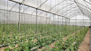 Thúc đẩy nông nghiệp xanh