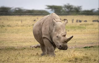 Thắc mắc quanh ta (Kỳ 3)