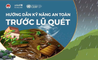 Infographics: Kỹ năng phòng tránh lũ quét