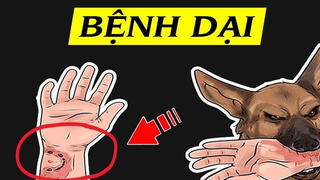 Bộ Y tế cảnh báo về nguy cơ bùng phát bệnh dại
