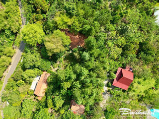 Nữ nghệ nhân đam mê làm đa dạng sinh học