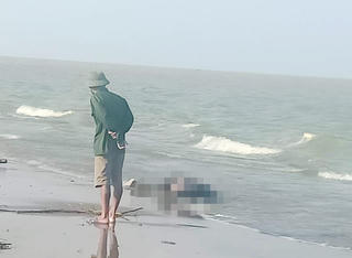 Phát hiện một thi thể nam giới trôi dạt vào bờ biển ở Hà Tĩnh