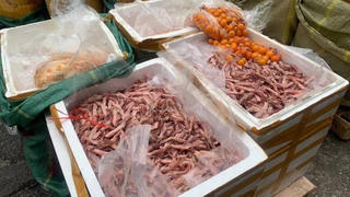 Chặn thực phẩm “bẩn” từ nguồn