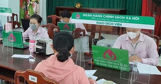 TP HCM: Cho vay hỗ trợ việc làm đạt 8.466 tỷ đồng