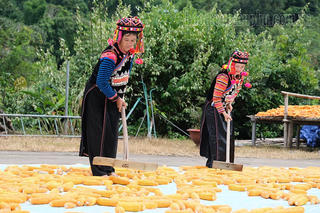 Nỗ lực thực hiện Chương trình MTQG 1719