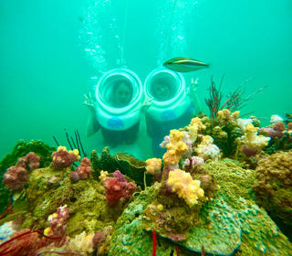 Về Cô Tô lặn biển ngắm san hô