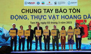 Phát động chương trình 'Tam Kỳ - thành phố không thịt động vật hoang dã'