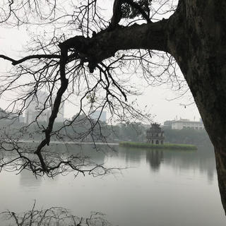 Bóng cây, hồn phố