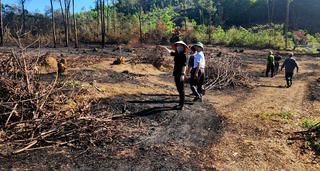 Hà Tĩnh: Phát hiện cụ ông tử vong trong khi đốt thực bì