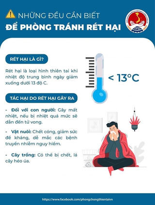 'Infographics': Rét hại và cách phòng tránh