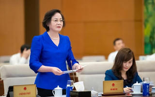 Chính quyền địa phương 2 cấp được định hướng tổ chức thế nào?