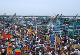 Bức tranh sáng tối về dân số thế giới