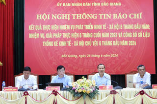 Bắc Giang tiếp tục dẫn đầu cả nước về tăng trưởng kinh tế