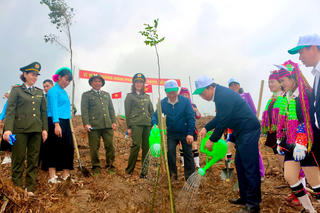 Quảng Ninh: Trồng tối thiểu 1 triệu cây xanh trong dịp Tết trồng cây năm 2024