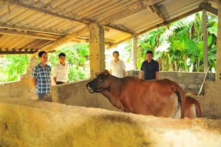 Vượt khó vươn lên