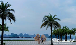 Hạ Long – phút yên bình trước bão